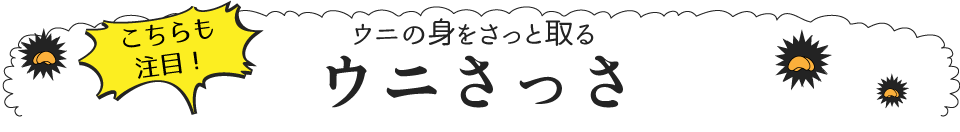 ウニさっさ ウニの身をさっと取る、ウニさっさ | ウニくる(有限会社アール)